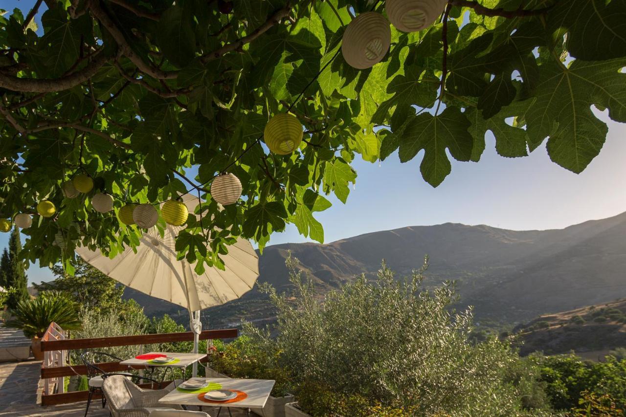 La Almunia Del Valle موناتْشيل المظهر الخارجي الصورة
