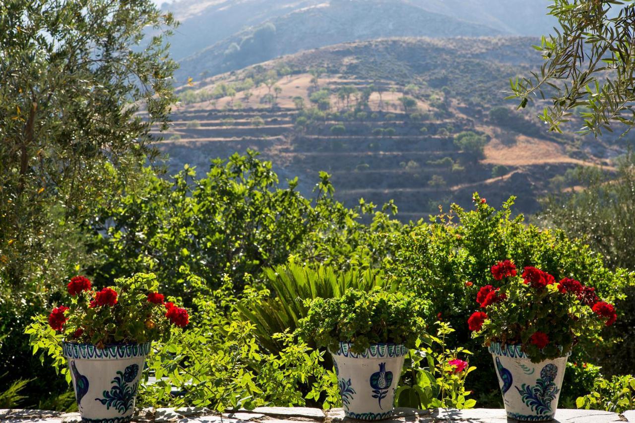 La Almunia Del Valle موناتْشيل المظهر الخارجي الصورة
