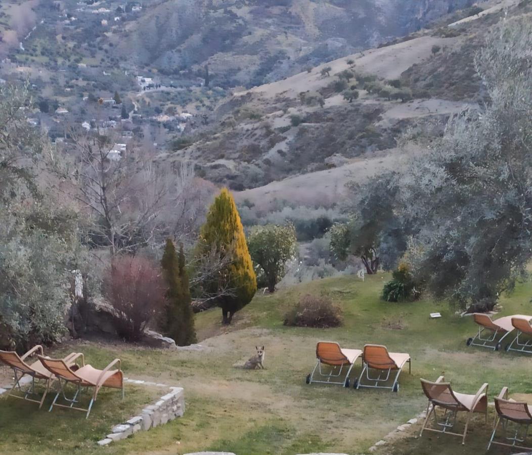 La Almunia Del Valle موناتْشيل المظهر الخارجي الصورة
