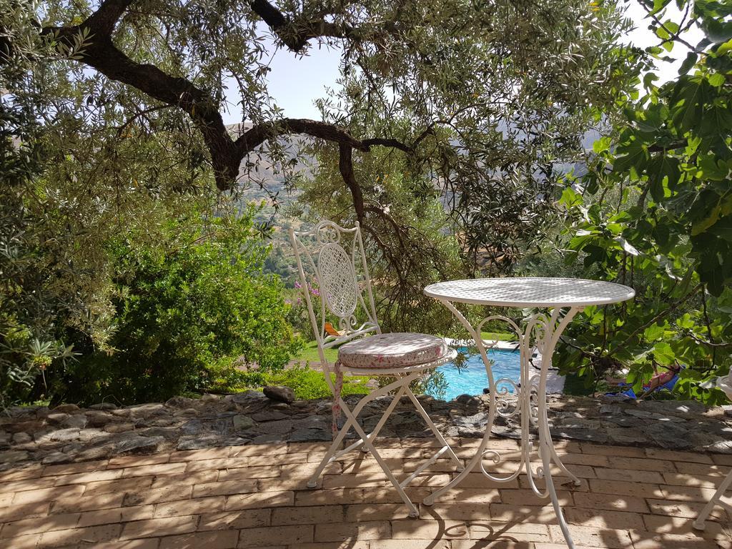 La Almunia Del Valle موناتْشيل المظهر الخارجي الصورة
